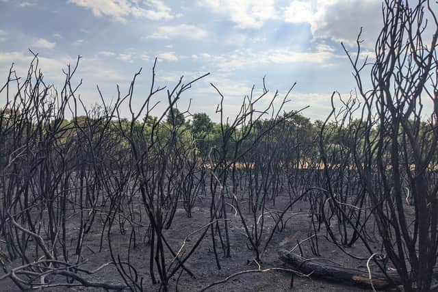 Last week there were two large grass fires in Leytonstone near Hollow Ponds, resulting in several hectares of grassland being destroyed. 