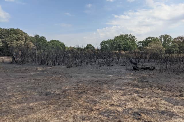 Scorched earth as a result from a grass fire at Leyton flats