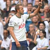 Harry Kane of Tottenham Hotspur celebrates their sides first goal during the Premier League match  (Photo by Clive Mason/Getty Images)