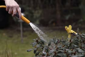 Thames Water has imposed a hosepipe ban in London