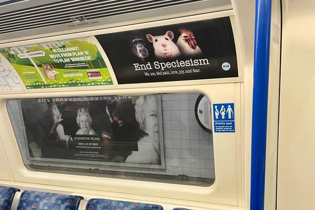 PETA’s Tube adverts are calling for the end of speciesism. Photo: PETA