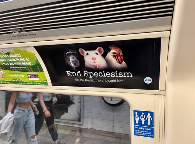 PETA’s Tube adverts are calling for the end of speciesism. Photo: PETA