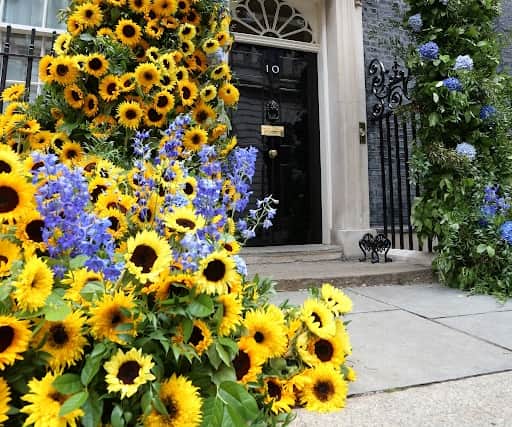 No 10 Downing Street is adorned with yellow and blue floral decorations to mark Ukrainian Independence Day celebrations