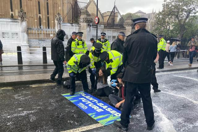 Protestors have sprayed the Parliament walls near Big Ben with “fake milk”. Photo: Animal Rebellion