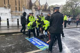 Protestors have sprayed the Parliament walls near Big Ben with “fake milk”. Photo: Animal Rebellion