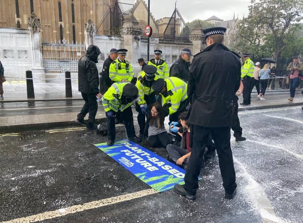 <p>Protestors have sprayed the Parliament walls near Big Ben with “fake milk”. Photo: Animal Rebellion</p>