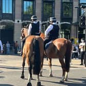 Police horses in Westminster ahead of the Queen’s arrival. Photo: Getty