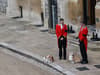 Queen’s corgis watch on as Queen Elizabeth II’s coffin arrives at Windsor Castle for her Committal service

