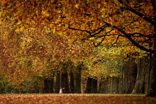 Autumn in Hyde Park