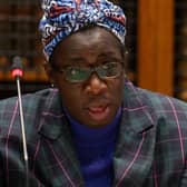 Ella’s mother, Rosamund Adoo-Kissi-Debrah, addresses the London Clean Air and Health Summit in London in February 2022. Photo: Leon Neal/Getty Images.