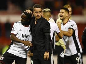 Fulham boss Marco Silva  