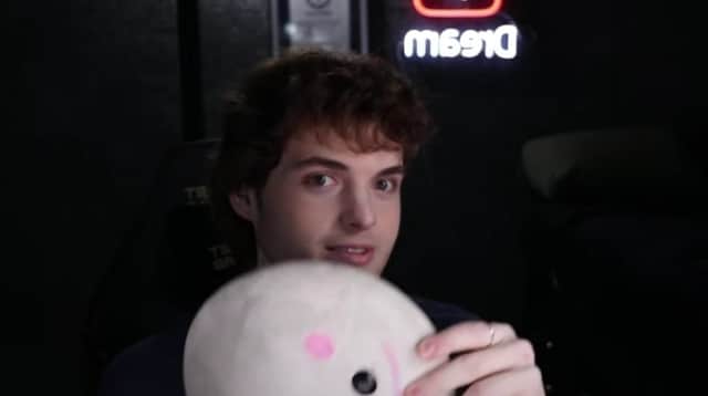 A screenshot of Dream during his face reveal on Youtube