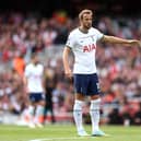 Harry Kane of Tottenham Hotspur during the Premier League match between Arsenal FC  (Photo by Catherine Ivill/Getty Images)