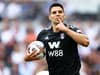 Pundit makes Aleksandar Mitrovic admission ahead of West Ham v Fulham