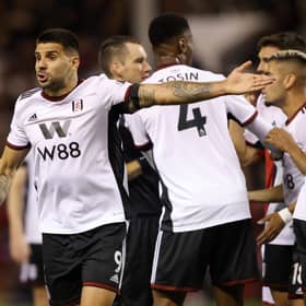 Mitrovic is battling injury 