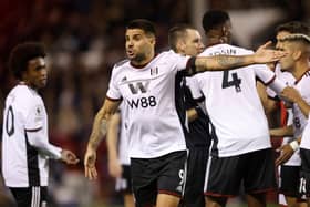 Mitrovic is battling injury 