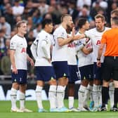 Tottenham Hotspur players appeal to Referee Jarred Gillet after Callum Wilson of Newcastle Unite . (Photo by Julian Finney/Getty Images)