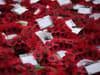 Remembrance Day 2022: when was it first commemorated, when is Remembrance Sunday,  and why do we wear a poppy?
