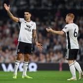 Aleksandar Mitrovic pleads his innocence after clashing with Idrissa Gueye. Photo: Justin Setterfield/Getty Images