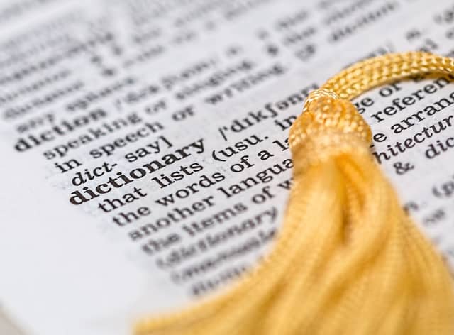 Collins Dictionary releases 2022 top words including Word Of The Year 