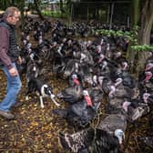 Childerhouse, who runs 35-acre Whews Farm in Norfolk, had to cull his 10,000-strong flock of turkeys earlier this autumn. 