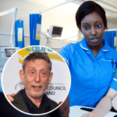 Author Michael Rosen (inset) has said he is 100% supporting the nurses strike. Photo: RCN/Getty