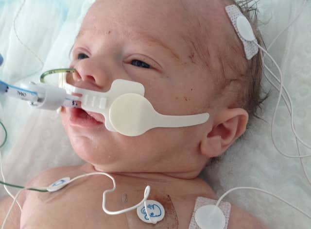 Lucas Whitehouse was starved of oxygen at birth. Photo: Supplied