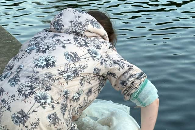 A dead swan is recovered from Eagle Pond in Wanstead Park. Credit: SWNS