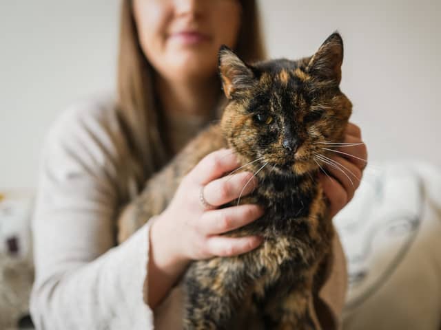 Flossie, pictured here with new owner Vicki, has been named the world’s oldest cat by the Guiness Book of World Records.