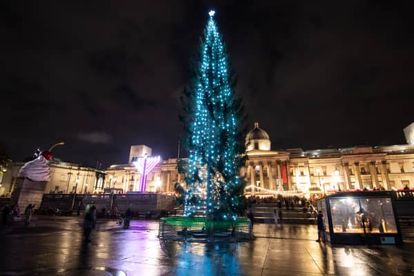 A general view of a Christmas tree in Trafalgar Square 