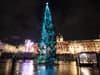 Christmas in London 2022: Norwegian spruce once more the centrepiece for Christmas in Trafalgar Square