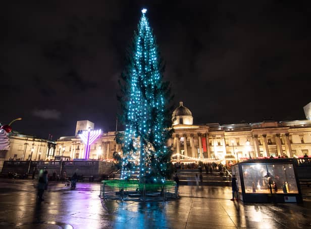 <p>A general view of a Christmas tree in Trafalgar Square </p>