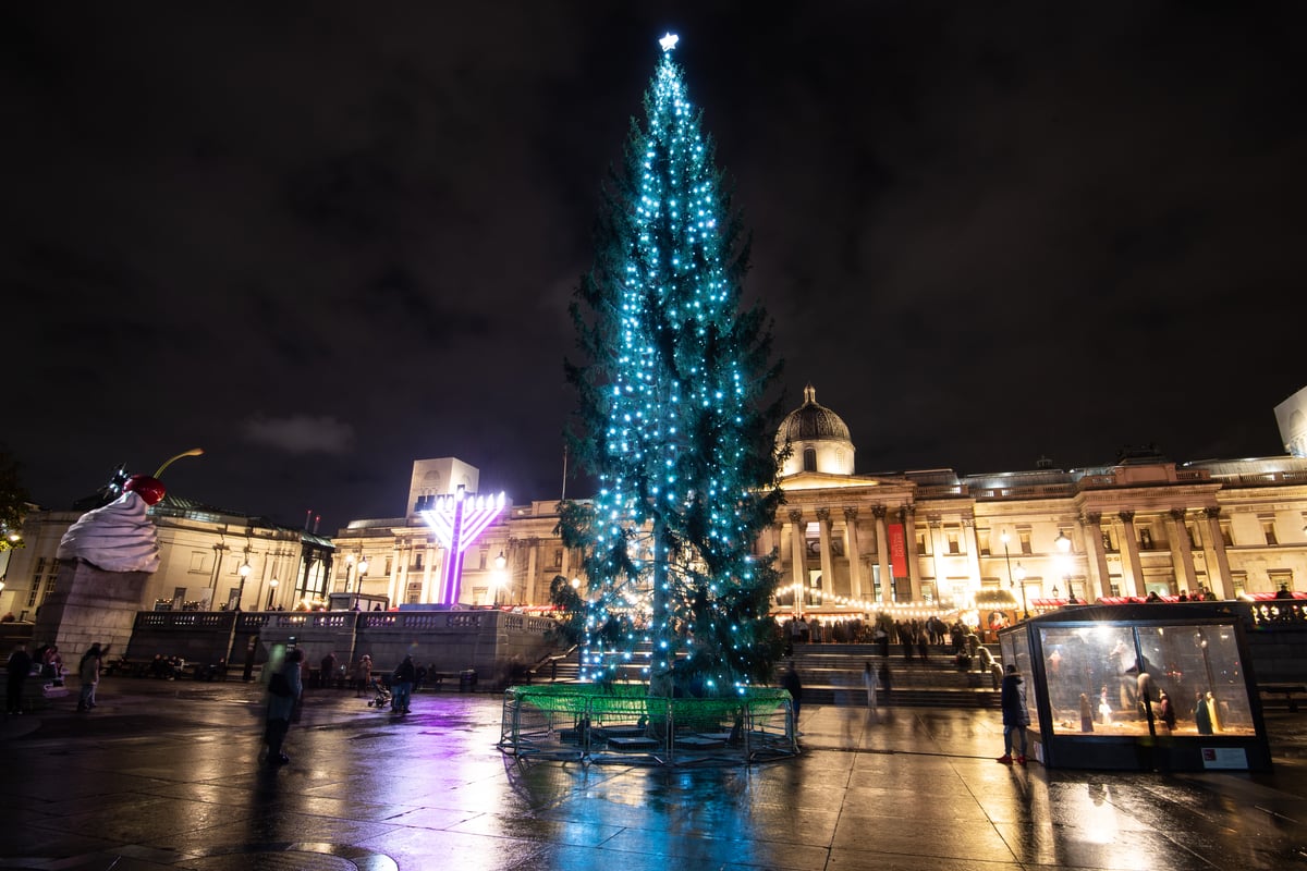 London Christmas Tree