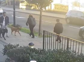 The Met Police released footage of a man walking two dogs they want to speak to. Credit: Met Police