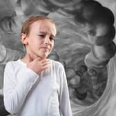 Hundreds of cases of Strep A and scarlet fever have been reported in London, health data has shown. Photo: NationalWorld