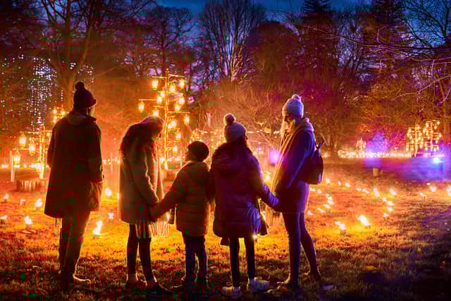 Christmas at Kew Gardens