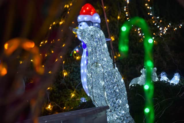 The UK’s ‘craziest Christmas lights’ are back for the twentieth year running. Photo: Emma Trimble / SWNS
