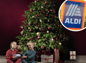 Aldi is selling a real Christmas tree for under £15