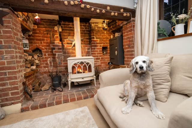 Jay on the couch by the fire. Photo: SWNS