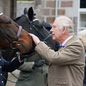 King Charles (Getty Images)