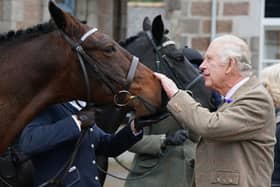 King Charles (Getty Images)