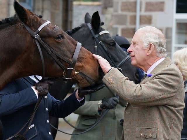 King Charles (Getty Images)