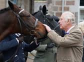 King Charles (Getty Images)