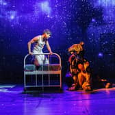 The Life of Pi at the Wyndham’s Theatre is finishing on January 15