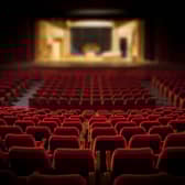 The theatre has become too expensive for many parents