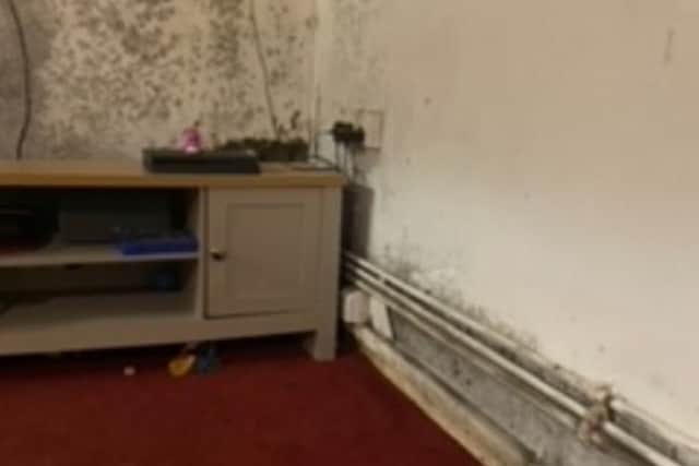 A pregnant mum says mould in her flat has left her fearing for the health of her children