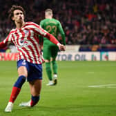Joao Felix of Atletico Madrid celebrates after scoring their sides first goal during the LaLiga Santander match between Atletico de Madrid