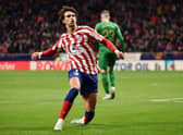 Joao Felix of Atletico Madrid celebrates after scoring their sides first goal during the LaLiga Santander match between Atletico de Madrid