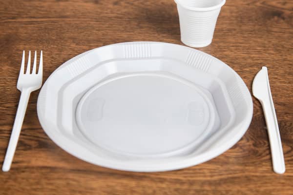 Many plastic items will be banned from the end of this year 