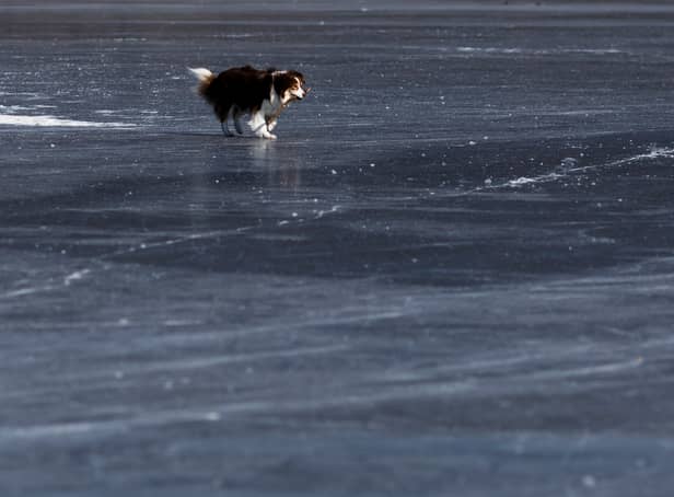 <p>A teenage girl and a dog were rescued after falling through ice in Leytonstone. Photo: Getty (stock image)</p>